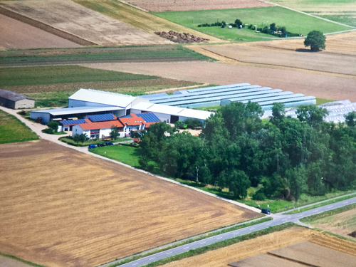 Gemüsebau Ewald Hof 2001