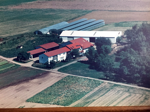 Gemüsebau Ewald Hof 1997