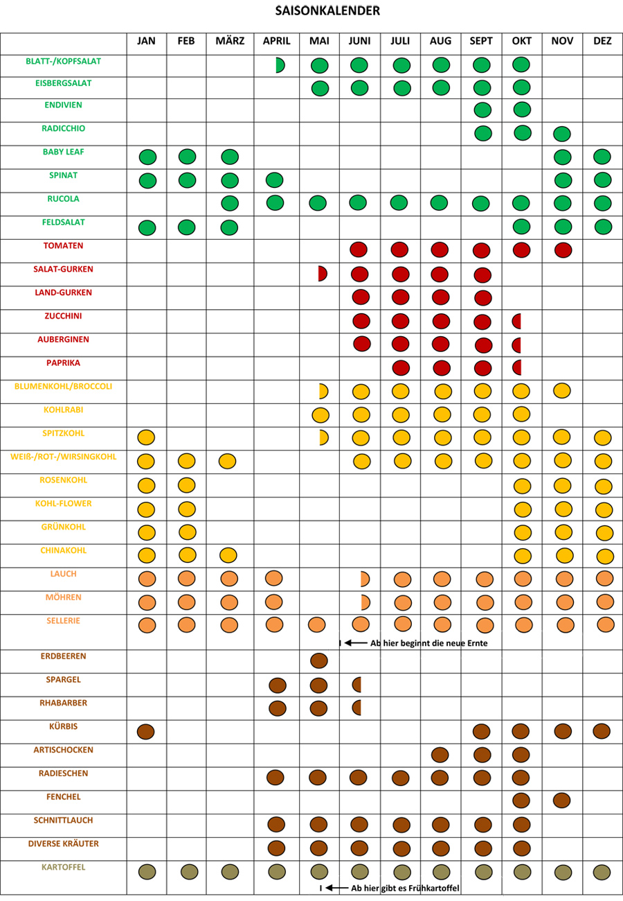 Saisonkalender - Übersicht der verfügbaren Gemüsesorten nach Jahreszeit